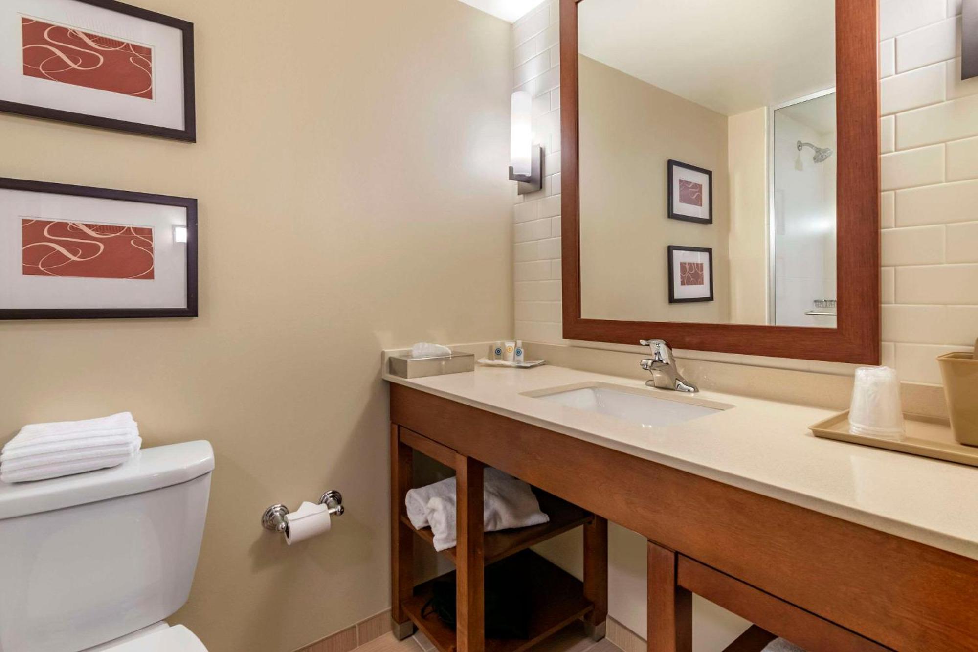 Comfort Suites Manheim - Lancaster Екстериор снимка
